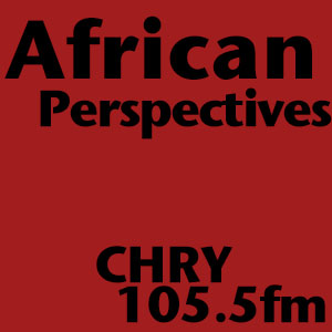 tumblr_static_africanperspectiveslogo